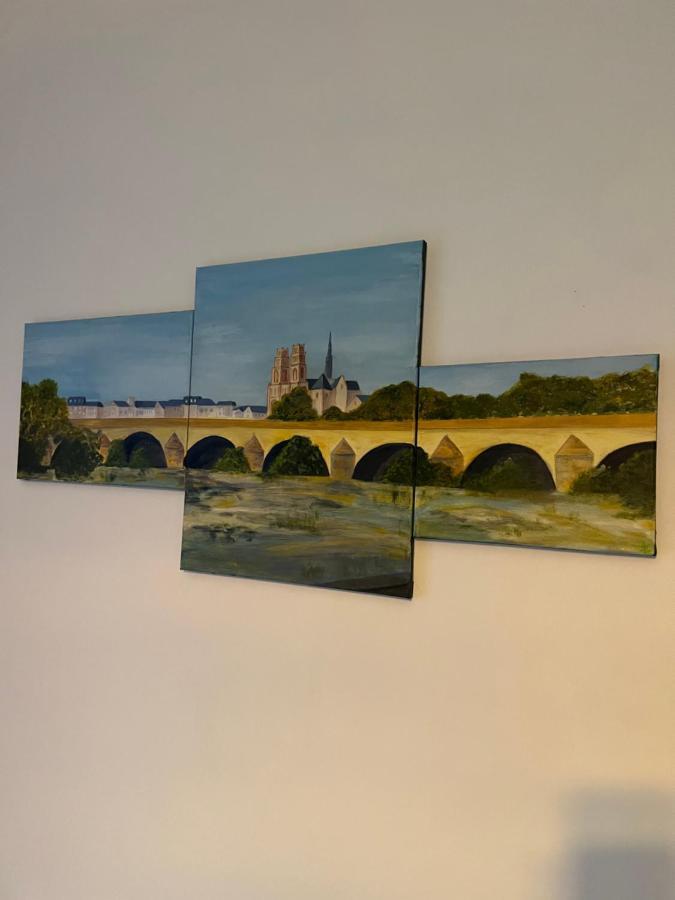 Cosy Loire, T2 Neuf, Front De Loire ,Vue Cathedrale,5Min A Pied Centre Ville Et Parking Prive Орлеан Екстериор снимка