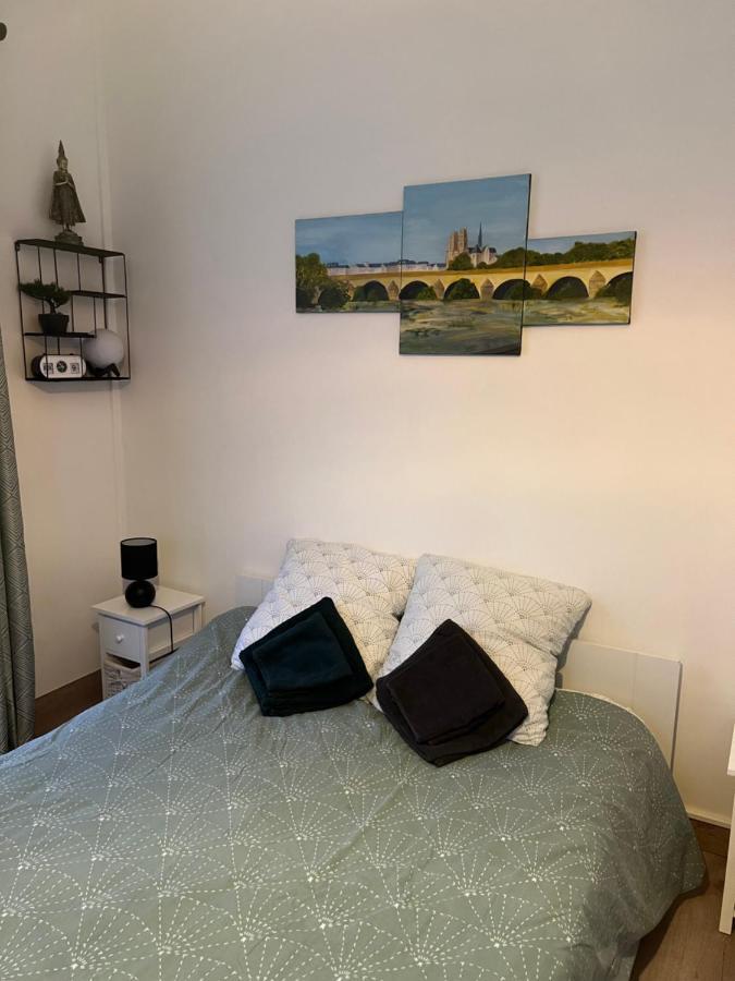 Cosy Loire, T2 Neuf, Front De Loire ,Vue Cathedrale,5Min A Pied Centre Ville Et Parking Prive Орлеан Екстериор снимка